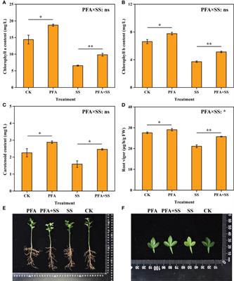 Potassium fulvic acid alleviates salt stress of citrus by regulating rhizosphere microbial community, osmotic substances and enzyme activities